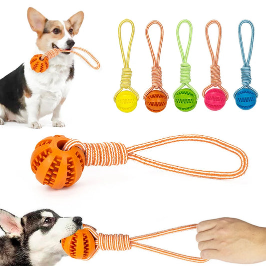 Interactive Rope with Chew & Bite Resistant Rubber Ball