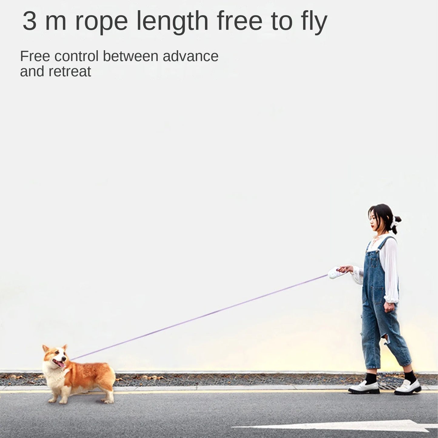 Retractable Leash with Flashlight