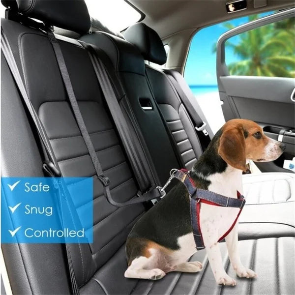 Adjustable Harness Safety Leash Dog Seat Belt (Adjustable From 45cm to 72cm)